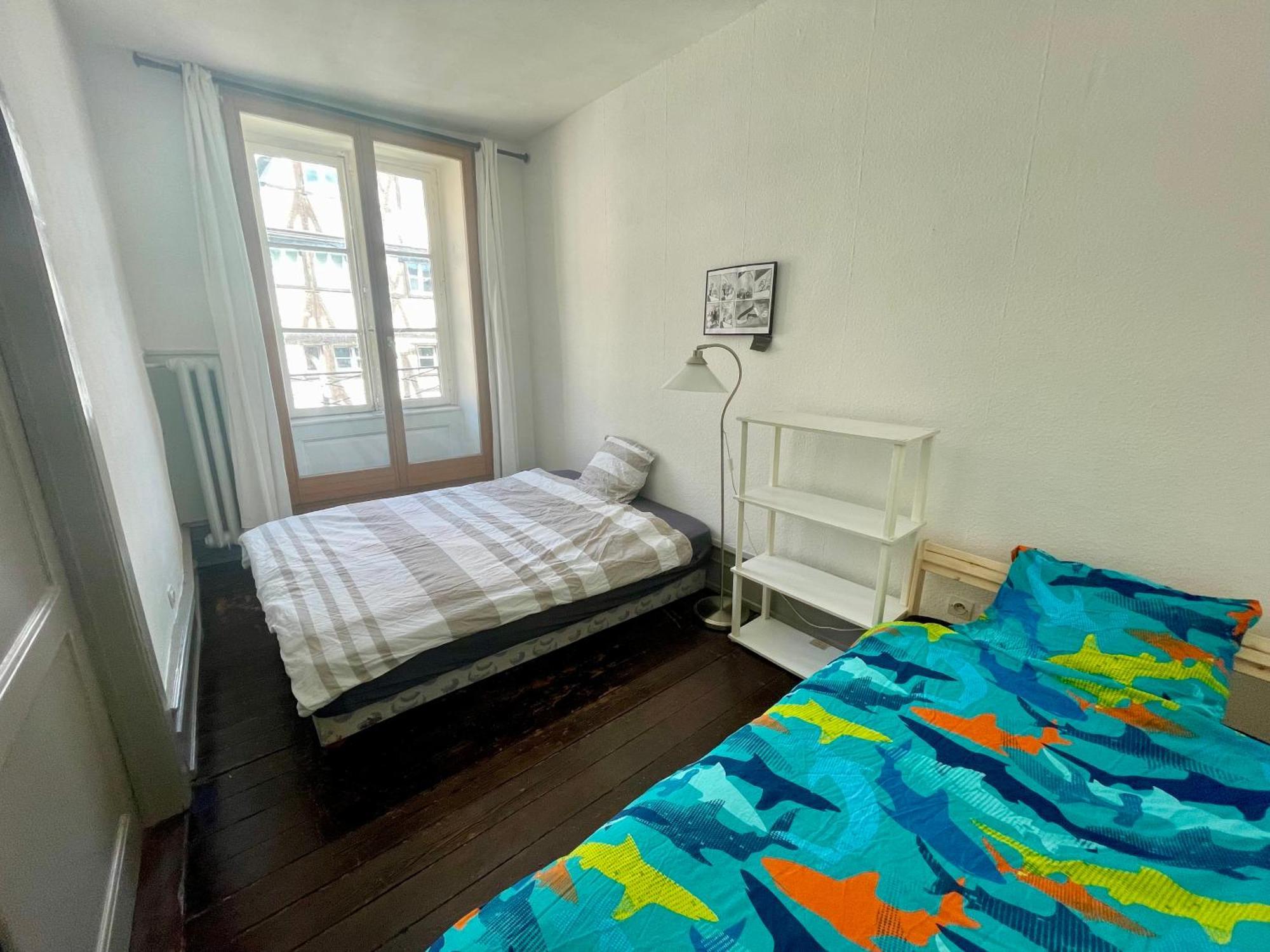 Cathedrale Spacieux Appartement Strasburgo Esterno foto